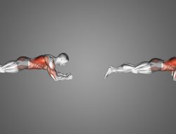 Plank hardware discount code unlocks amazing savings