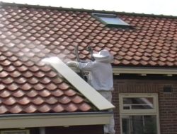 Pest Control Diamond Bar Ca Your Solution For Pests