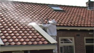 Pest Control Workers at My Next Move for Veterans